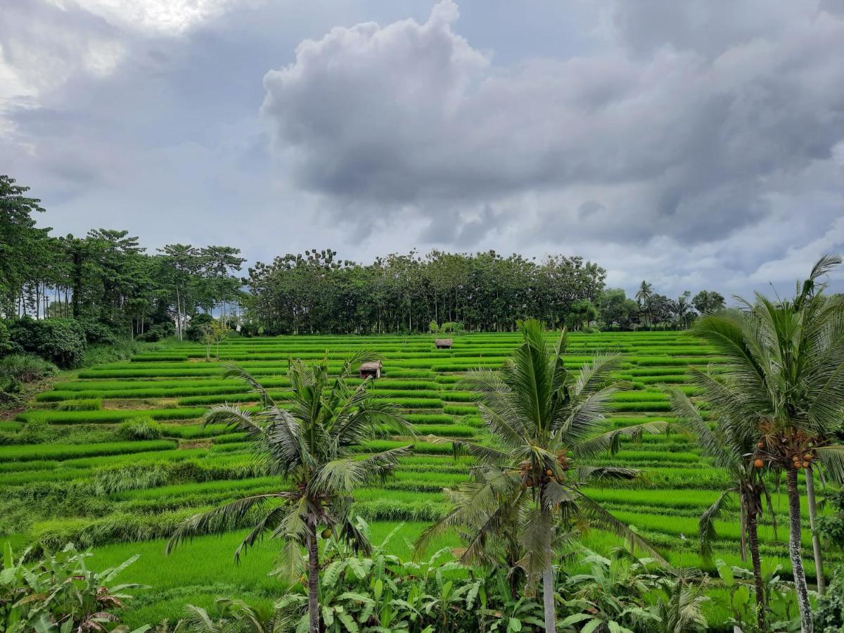 Serenity Private Villa Mas Ubud Eksteriør billede