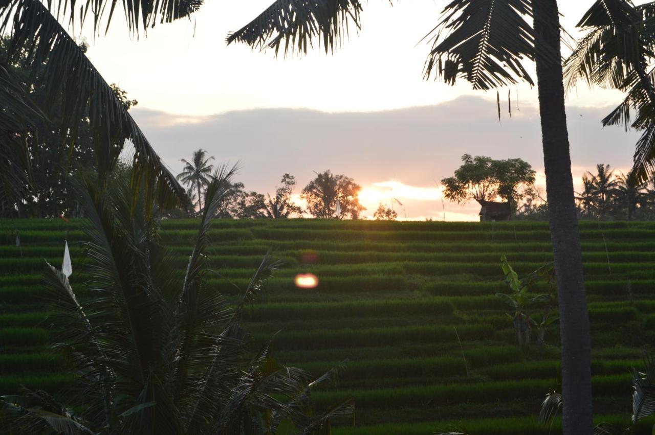 Serenity Private Villa Mas Ubud Eksteriør billede
