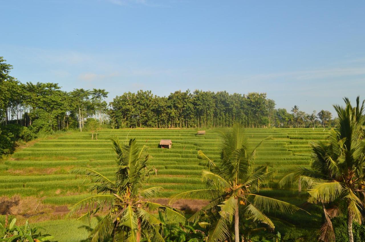 Serenity Private Villa Mas Ubud Eksteriør billede