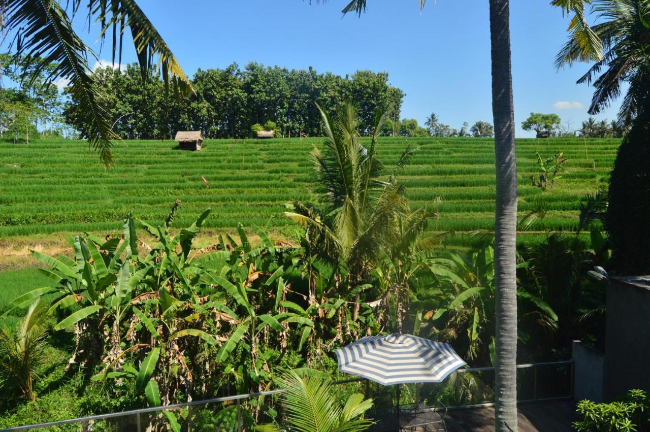 Serenity Private Villa Mas Ubud Eksteriør billede